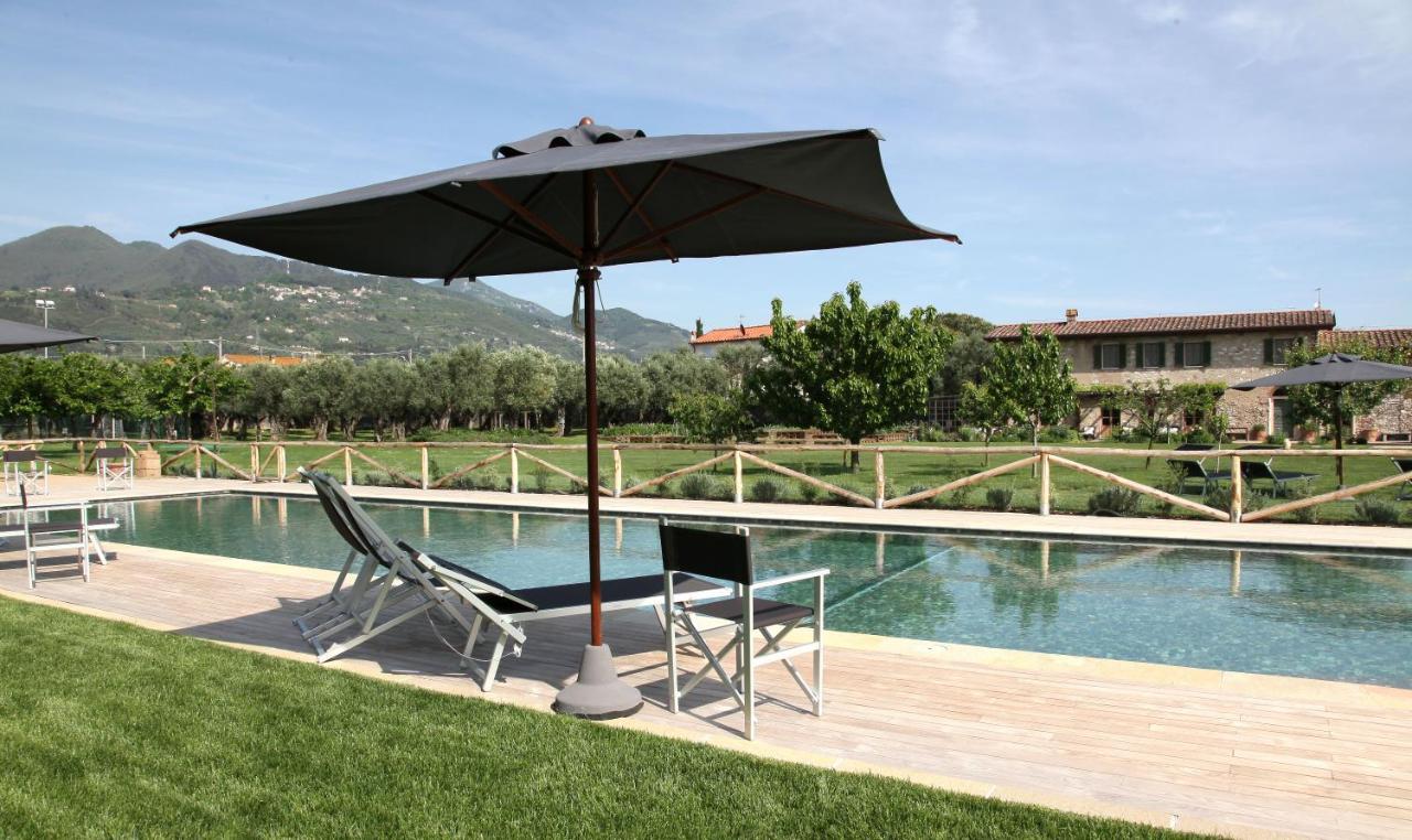 Olimagio Farm Stay With Animals And 25M Pool, Beach At Cycling Distance Pietrasanta Extérieur photo
